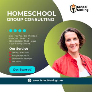 Homeschool Group Consultation - 1 hour